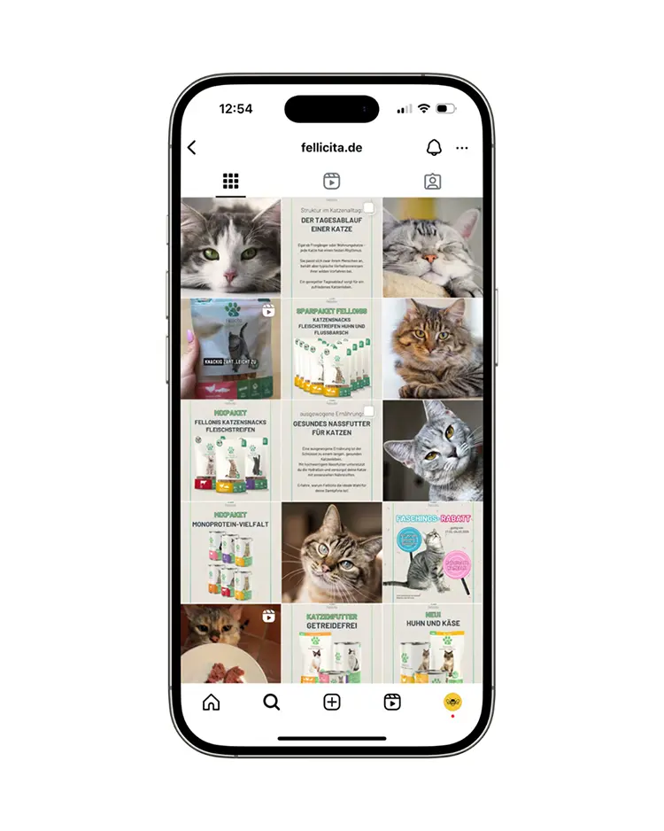 Instagram-Feed von Fellicita mit Beiträgen über hochwertiges Katzenfutter.