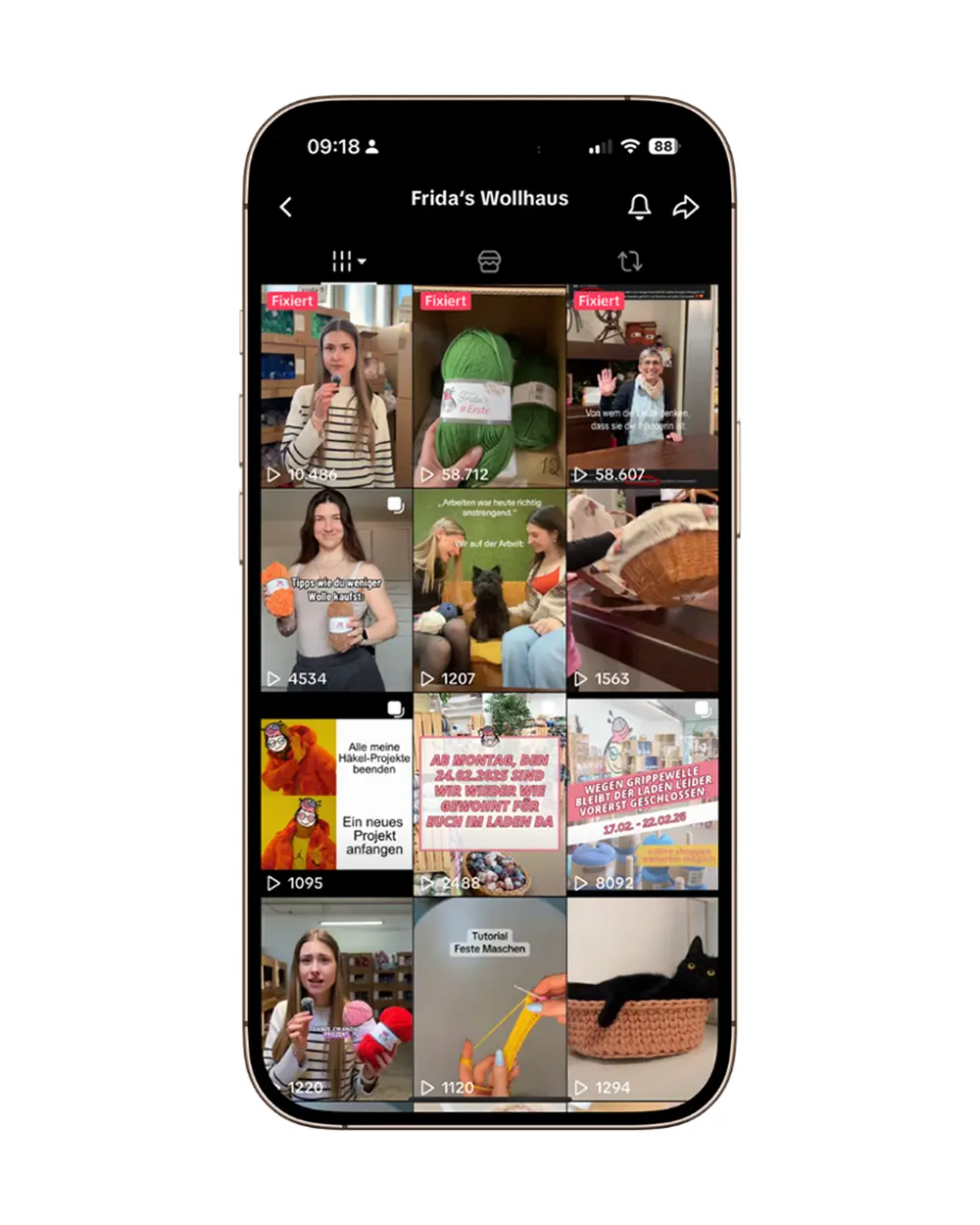 TikTok Feed von Frida’s Wollhaus mit viralen Reels und unterhaltsamen Videos für die Woll-Community